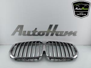 Used Grille BMW X5 (G05) xDrive M50d 3.0 24V Price € 125,00 Margin scheme offered by AutoHam