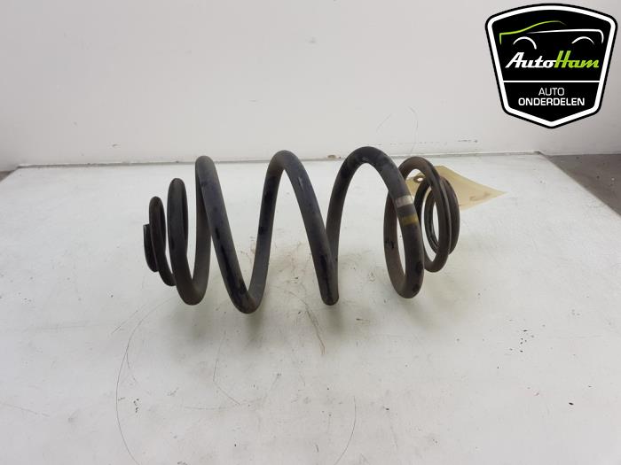 Rear coil spring from a Opel Vivaro 1.6 CDTI BiTurbo 120 2016
