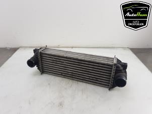 Used Intercooler Ford Transit Connect 1.8 TDdi LWB Euro 4 Price € 40,00 Margin scheme offered by AutoHam
