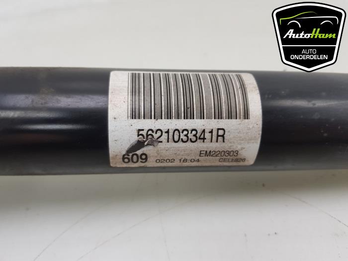 Rear shock absorber, left from a Renault Megane IV Estate (RFBK) 1.5 Energy dCi 110 2018