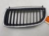 Grille from a BMW 3 serie (E90) 320i 16V 2008