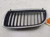 Grille from a BMW 3 serie (E90) 320i 16V 2008