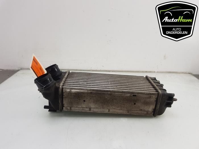 Gebrauchte Ladeluftkühler Peugeot Partner (GC/GF/GG/GJ/GK) 1.6 HDI 90 Preis € 20,00 Margenregelung angeboten von AutoHam