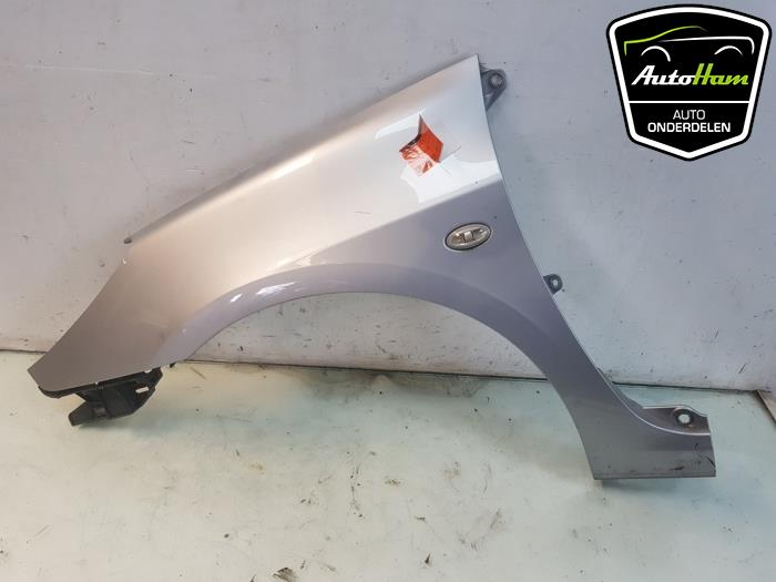 Front wing, left from a Peugeot 307 (3A/C/D) 1.4 16V 2007