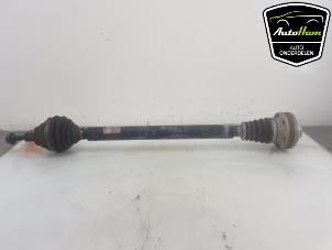 Used Front drive shaft, right Volkswagen Caddy III (2KA,2KH,2CA,2CH) 1.6 TDI 16V Price € 100,00 Margin scheme offered by AutoHam