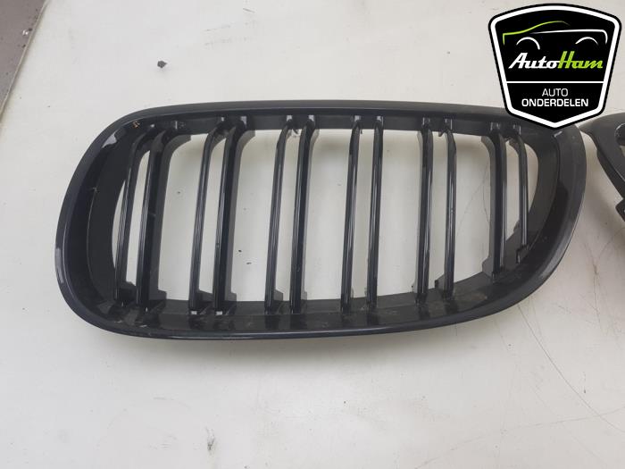 Grille from a BMW 3 serie (E92) 320i 16V 2008