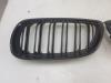 Grille from a BMW 3 serie (E92) 320i 16V 2008