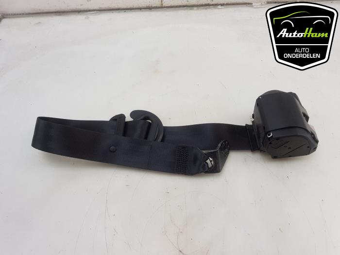 Ceinture hotsell polo 6r