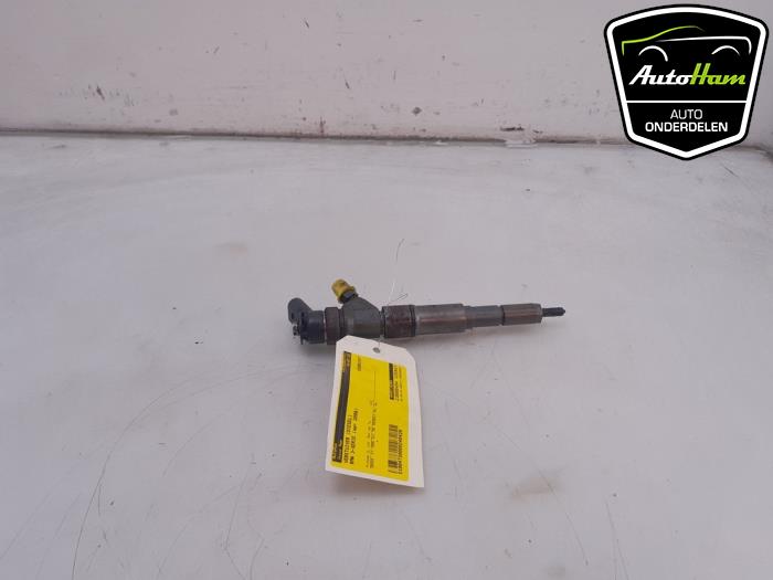 Injector (diesel) from a BMW 3 serie Touring (E91) 318d 16V 2006