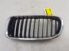 Grille from a BMW 3 serie (F30) 320i 1.6 16V EfficientDynamicsEdition 2013