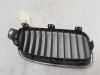 Grille from a BMW 3 serie (F30) 320i 1.6 16V EfficientDynamicsEdition 2013