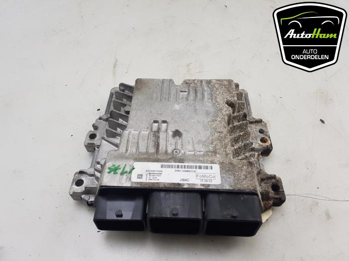 Used Engine management computer Ford Transit Connect (PJ2) 1.6 TDCi 16V 95 Price € 145,00 Margin scheme offered by AutoHam