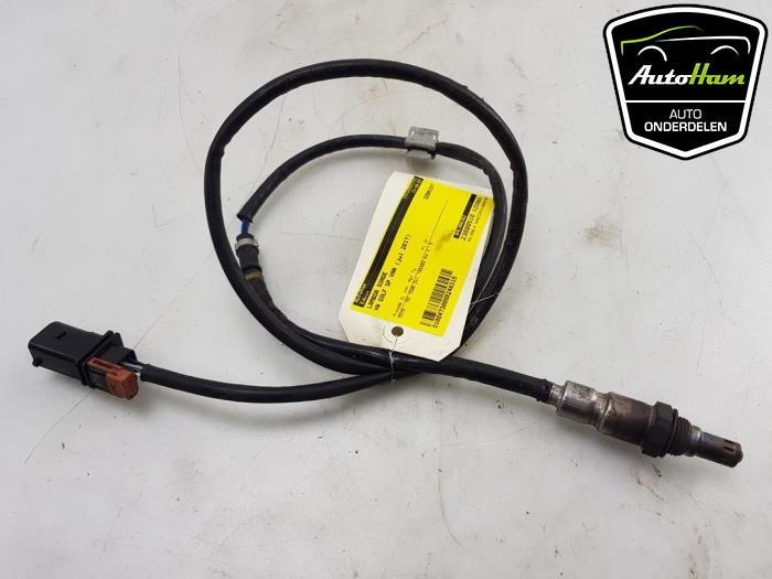 Używane Sonda lambda Volkswagen Golf Sportsvan (AUVS) 1.6 TDI BMT 16V Cena € 20,00 Procedura marży oferowane przez AutoHam
