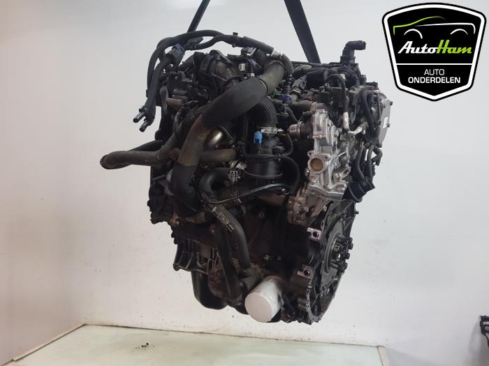 Engine Ford Transit 2.0 TDCi 16V Eco Blue 130 RWD - 2196358 YMR6