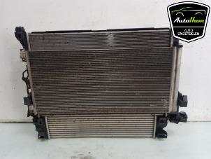 Used Cooling set Renault Trafic (1FL/2FL/3FL/4FL) 1.6 dCi 95 Price on request offered by AutoHam
