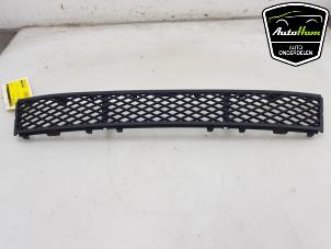 Used Bumper grille BMW 5 serie (F10) 520i 16V Price € 20,00 Margin scheme offered by AutoHam