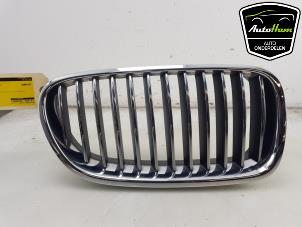 Used Grille BMW 5 serie (F10) 520i 16V Price € 30,00 Margin scheme offered by AutoHam