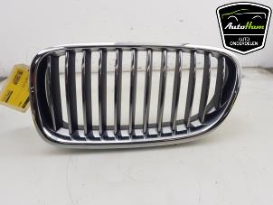 Used Grille BMW 5 serie (F10) 520i 16V Price € 30,00 Margin scheme offered by AutoHam