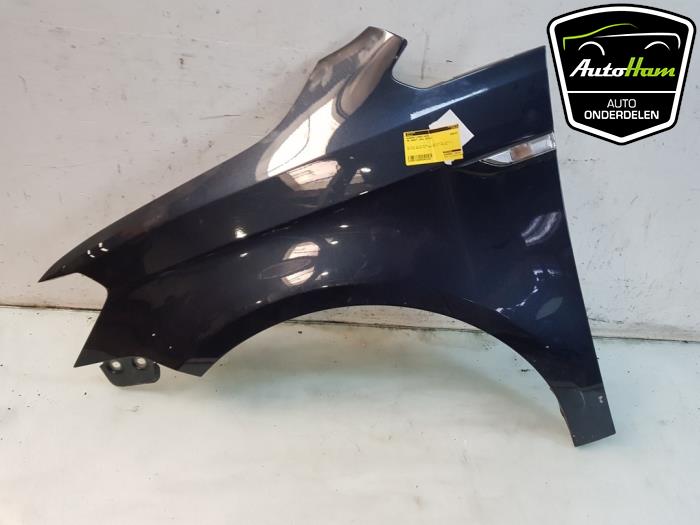 Front wing, left from a Volkswagen Caddy IV 2.0 TDI 75 2020