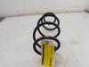 Rear coil spring from a Renault Express 1.5 dCi 95 2023