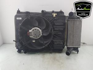 Used Cooling set Ford Fiesta 7 1.0 EcoBoost 12V 100 Price on request offered by AutoHam