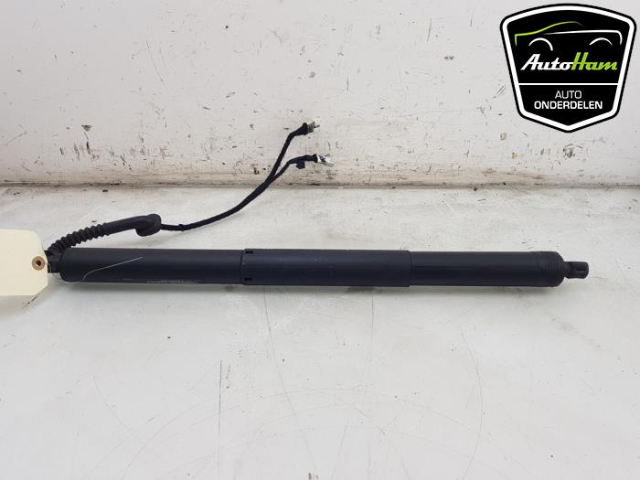 Używane Silnik tylnej klapy BMW X5 (F15) xDrive 40e PHEV 2.0 Cena € 75,00 Procedura marży oferowane przez AutoHam