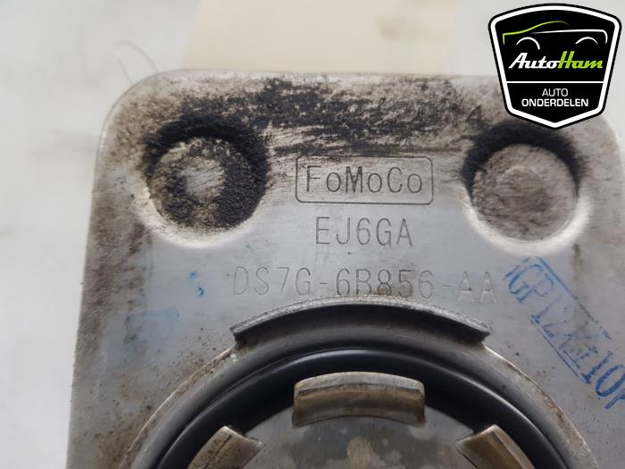 Gebrauchte Ölkühler Ford C-Max (DXA) 1.5 Ti-VCT EcoBoost 150 16V Preis € 35,00 Margenregelung angeboten von AutoHam