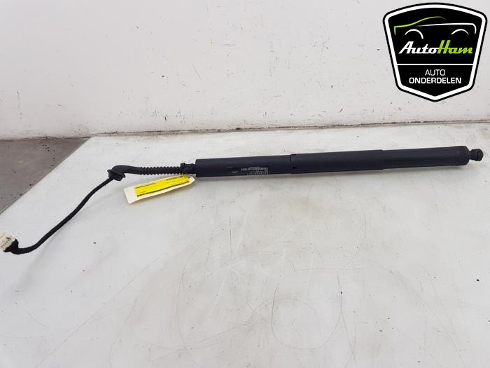 Używane Silnik tylnej klapy BMW X5 (F15) xDrive 40e 2.0 Cena € 75,00 Procedura marży oferowane przez AutoHam