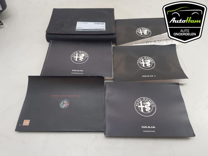 Używane Instrukcja Alfa Romeo Giulia (952) 2.9 Bi-Turbo V6 24V Quadrifoglio Verde Cena € 75,00 Procedura marży oferowane przez AutoHam