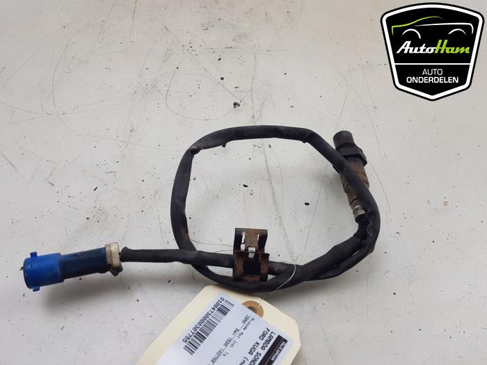 Używane Sonda lambda Ford Kuga II (DM2) 1.6 EcoBoost 16V Cena € 20,00 Procedura marży oferowane przez AutoHam