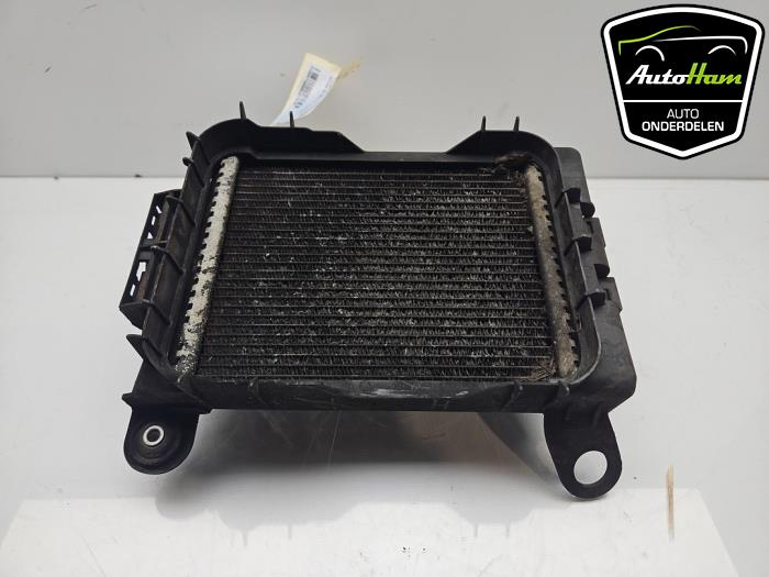 Używane Chlodnica BMW 4 serie (F32) 435d xDrive 3.0 24V Cena € 75,00 Procedura marży oferowane przez AutoHam