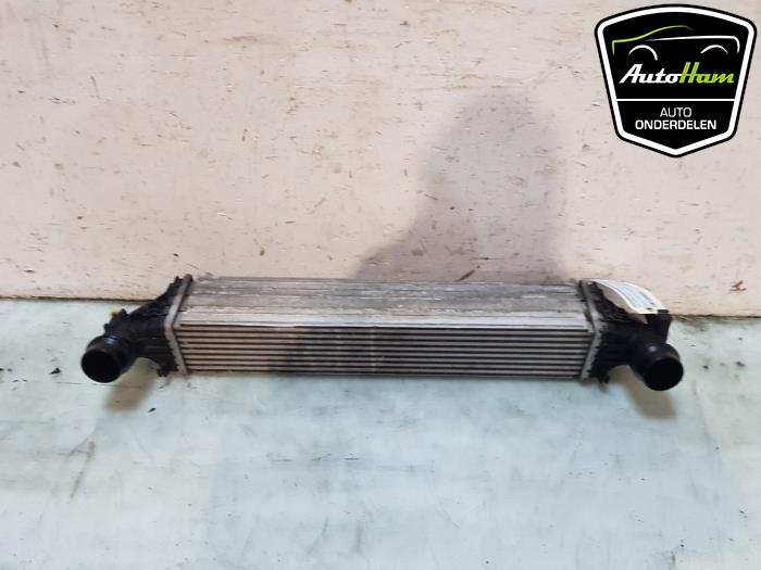 Usados Intercooler Opel Astra K 1.6 CDTI 110 16V Precio € 50,00 Norma de margen ofrecido por AutoHam