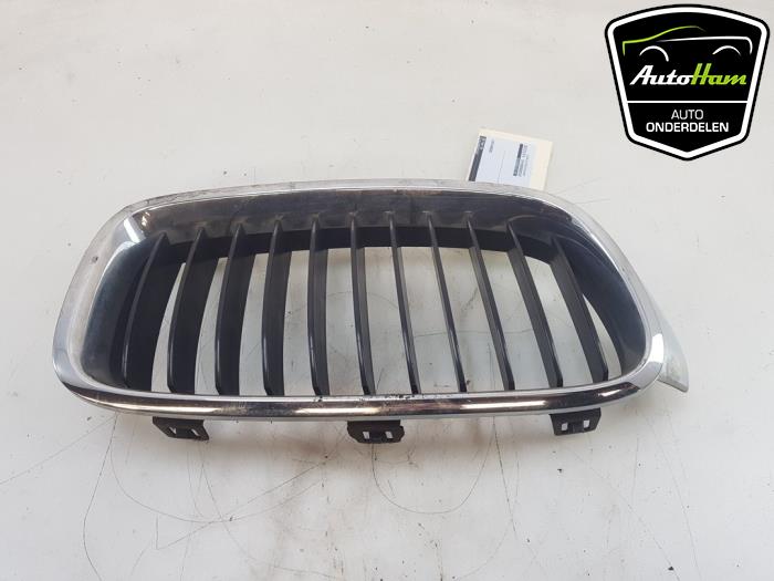 Begagnade Grill BMW 3 serie (F30) 320d 2.0 16V Pris € 30,00 Marginaltabell erbjuds av AutoHam