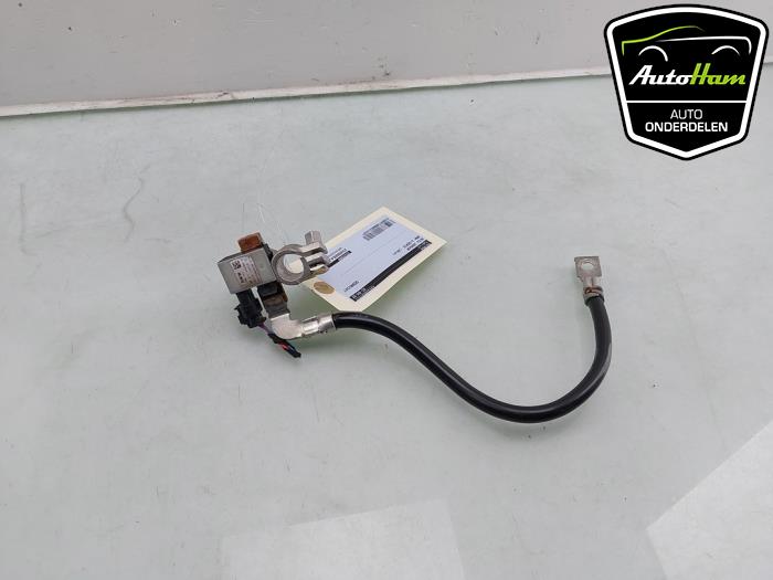 Begagnade Batterisensor BMW 3 serie (F30) 320d 2.0 16V Pris € 15,00 Marginaltabell erbjuds av AutoHam