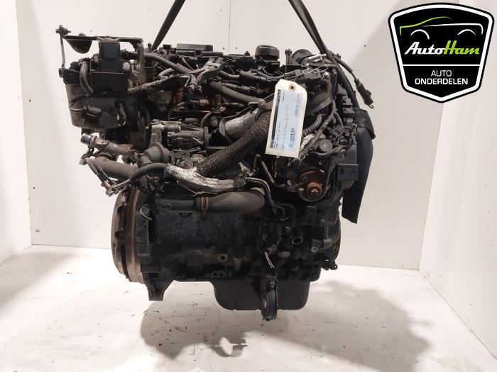 Gebrauchte Motor Ford Fiesta 6 (JA8) 1.6 TDCi 16V ECOnetic Preis € 600,00 Margenregelung angeboten von AutoHam