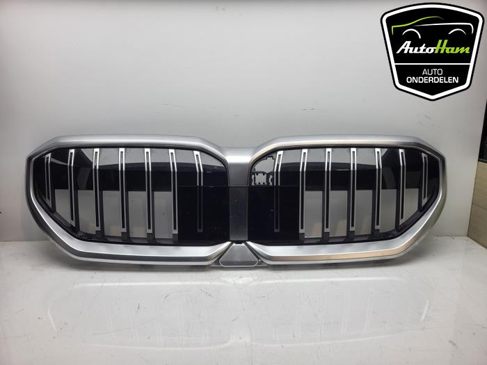 Używane Grill BMW 5 serie Touring (G61) 530e 2.0 TwinPower Turbo 16V Cena € 300,00 Procedura marży oferowane przez AutoHam