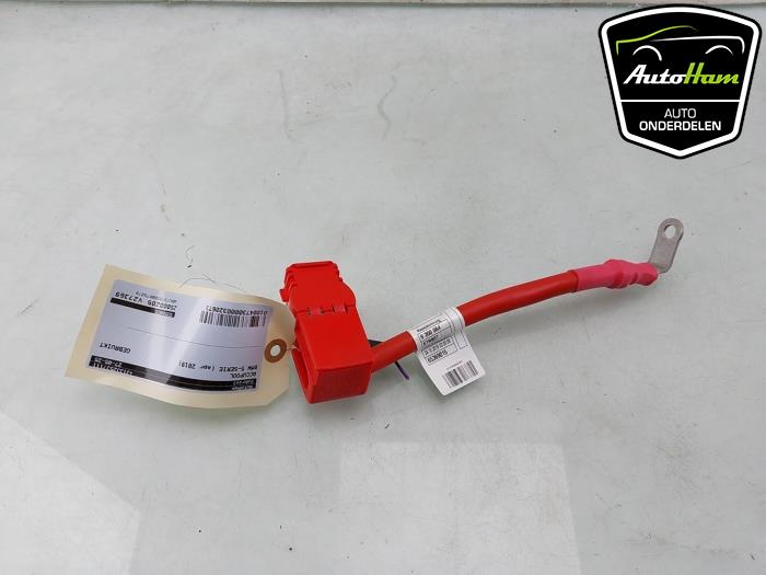 Używane Biegun akumulator BMW 5 serie Touring (G31) 520i 2.0 TwinPower Turbo 16V Cena € 25,00 Procedura marży oferowane przez AutoHam