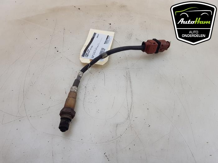 Usados Sonda Lambda Ford Focus 4 Wagon 1.0 EcoBoost 12V Hybrid 125 Precio € 25,00 Norma de margen ofrecido por AutoHam