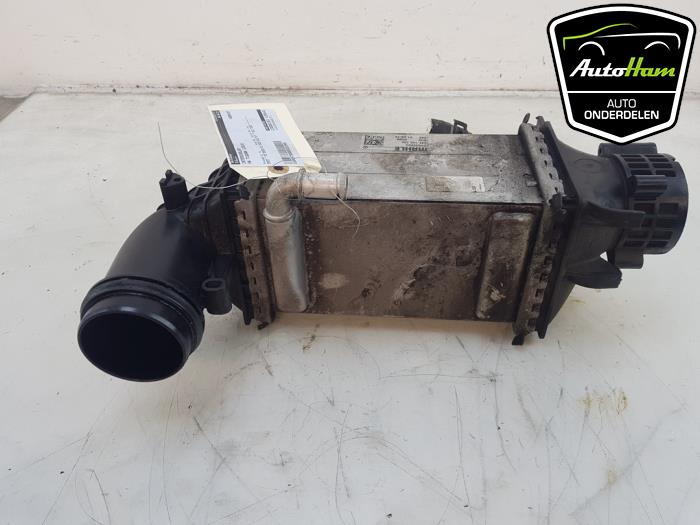 Usados Intercooler Volkswagen Tiguan (AD1) 1.5 TSI 16V Precio € 95,00 Norma de margen ofrecido por AutoHam