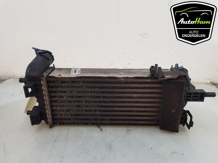 Used Intercooler Ford C-Max (DXA) 1.0 Ti-VCT EcoBoost 12V 125 Price € 30,00 Margin scheme offered by AutoHam