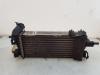 Ford C-Max (DXA) 1.0 Ti-VCT EcoBoost 12V 125 Echangeur air (Intercooler)
