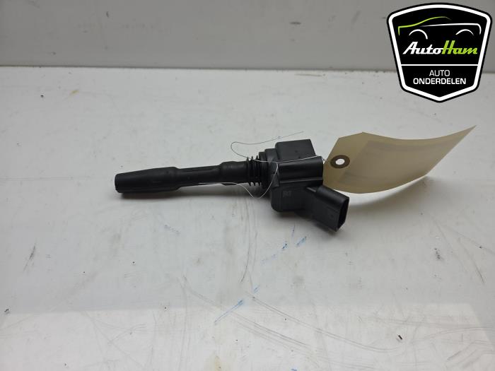 Usagé Broche bobine Audi RS 3 Sportback (8VA/8VF) 2.5 TFSI 20V Quattro Prix € 10,00 Règlement à la marge proposé par AutoHam