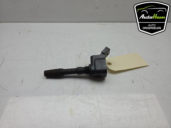 Usagé Broche bobine Audi RS 3 Sportback (8VA/8VF) 2.5 TFSI 20V Quattro Prix € 10,00 Règlement à la marge proposé par AutoHam