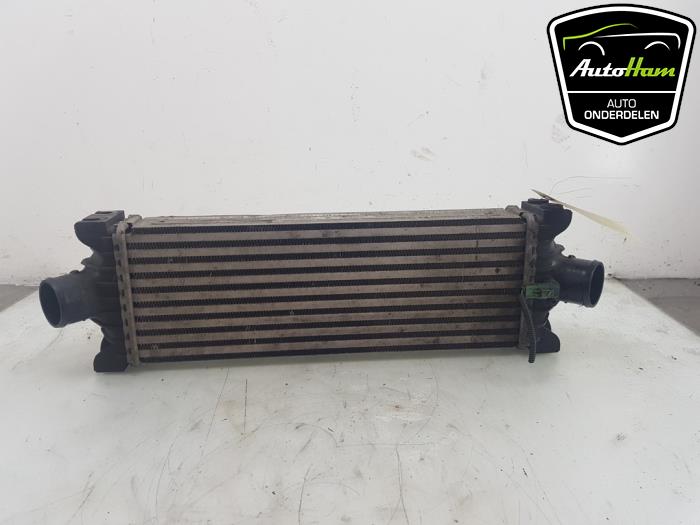Used Intercooler Ford Transit Custom 2.2 TDCi 16V Price € 90,75 Inclusive VAT offered by AutoHam