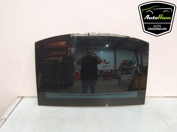 Używane Dach panoramiczny Tesla Model S 85 Cena € 495,00 Procedura marży oferowane przez AutoHam