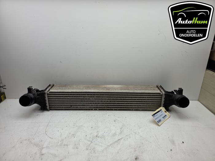 Usados Intercooler Opel Astra K 1.6 CDTI 110 16V Precio € 50,00 Norma de margen ofrecido por AutoHam