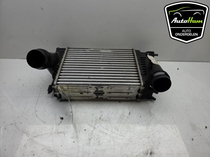 Usagé Intercooler Renault Talisman (RFDL) 1.6 Energy TCe 200 EDC Prix € 75,00 Règlement à la marge proposé par AutoHam