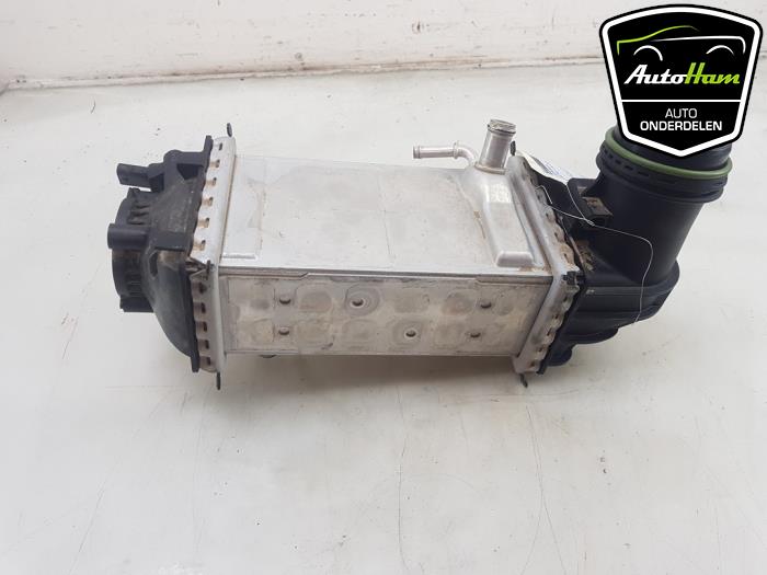 Usagé Echangeur air (Intercooler) Volkswagen Polo VI (AW1) 1.0 TSI 12V Prix € 75,00 Règlement à la marge proposé par AutoHam