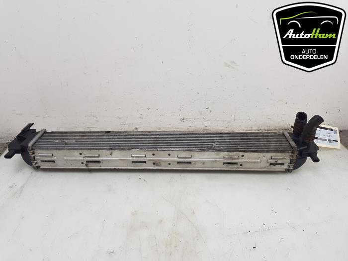 Begagnade Kylare Skoda Fabia II Combi 1.2 TSI Pris € 50,00 Marginaltabell erbjuds av AutoHam