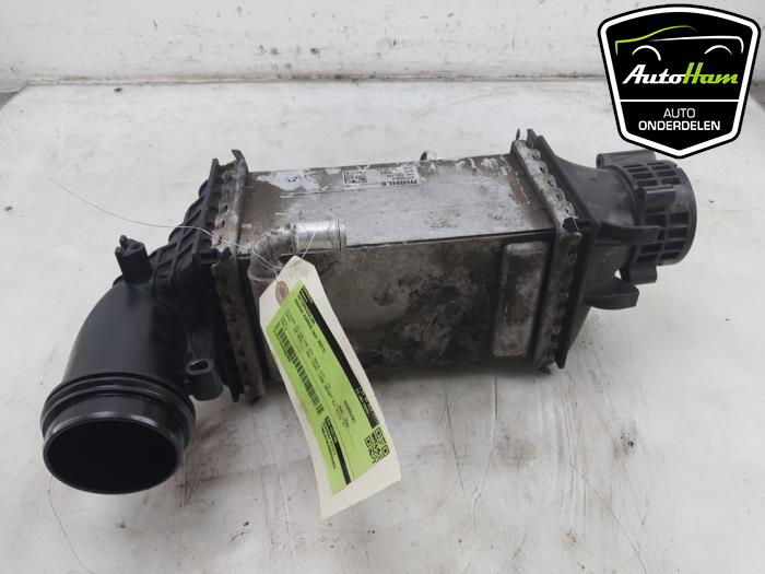 Usados Intercooler Skoda Karoq 1.5 TSI 16V Precio € 95,00 Norma de margen ofrecido por AutoHam